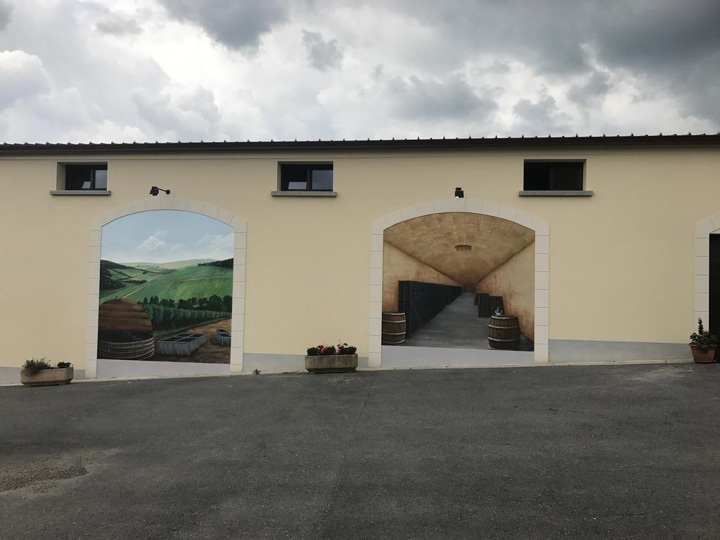 Chambres D'Hotes & Champagne Douard La Chapelle-Monthodon Экстерьер фото